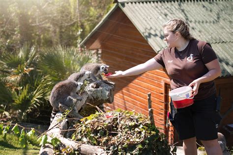 Join the team at Durrell Wildlife Conservation Trust .